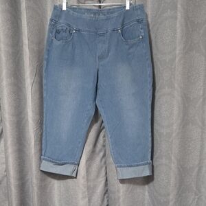 Belle by Kim Gravel Blue Ankle Jeans